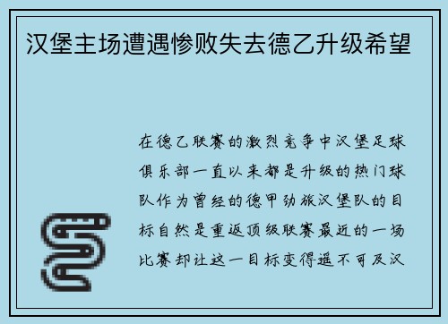 汉堡主场遭遇惨败失去德乙升级希望
